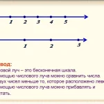 Что такое числовой луч и как его построить