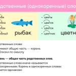 Что такое однокоренные слова и как их определить