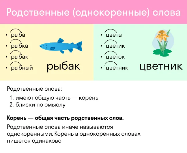 Что такое однокоренные слова и как их определить