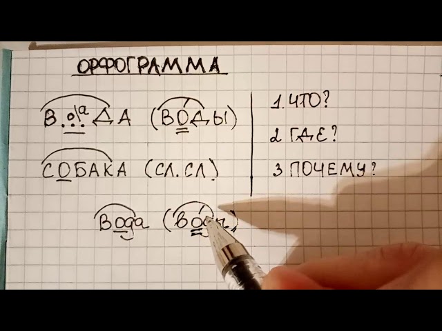 Что такое орфограмма и как научить ребенка их находить