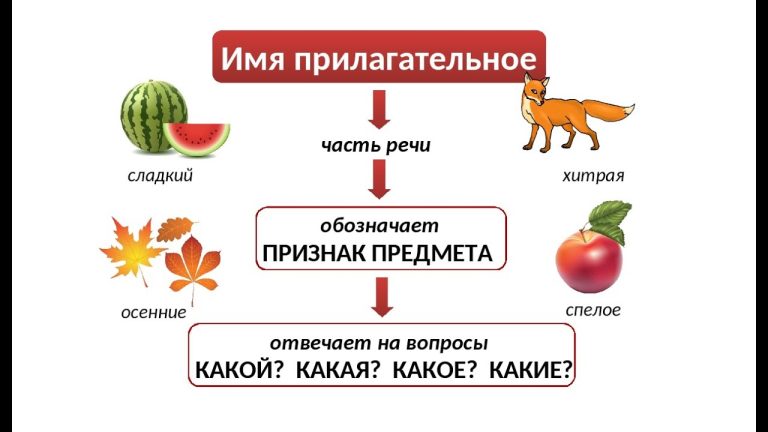 Что такое прилагательное: примеры для детей