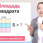 Как найти площадь квадрата: формула и примеры решения