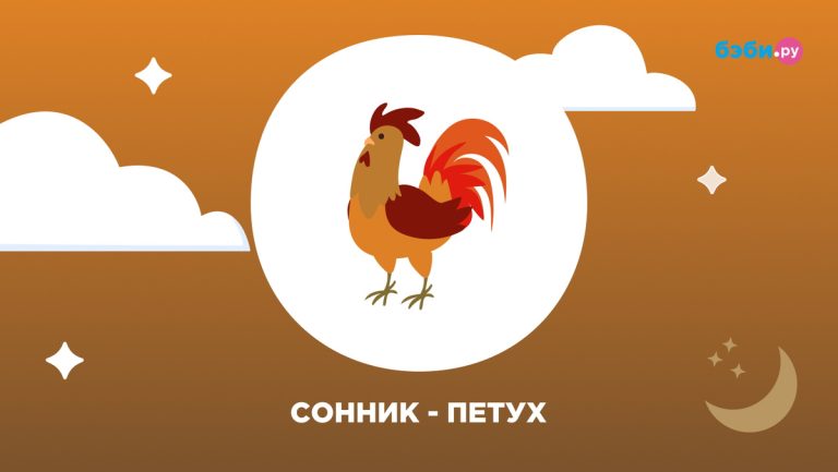 Что означает, когда снится петух — новости, конфликты, лидерство