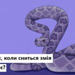 Що означає коли сниться Змія — сонник, небезпека чи мудрість