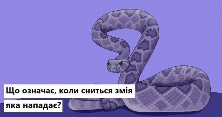 Що означає коли сниться Змія — сонник, небезпека чи мудрість