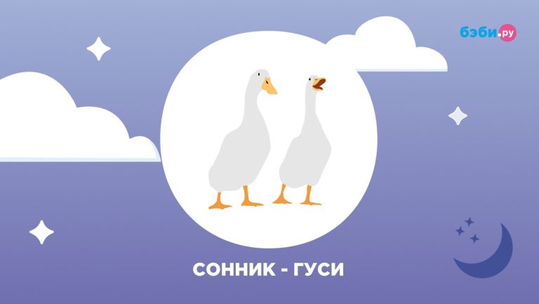 Что означает, когда снится гуси — новости, хлопоты, дорога