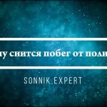 Что означает, когда снится полиция — контроль, страх ответственности